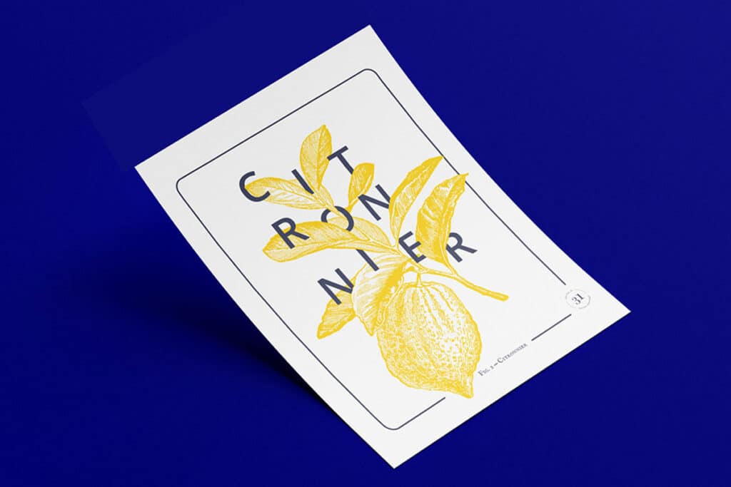 Exemples de supports imprimés créés par le studio graphique Sur Ton 31 à Nantes